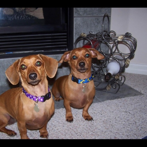 Meet your Posher, Anne - Picture 5 of 7